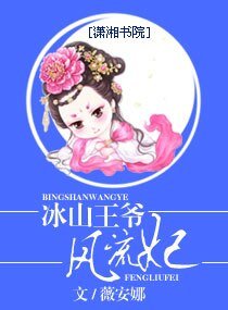 《冰山王爺風流妃》