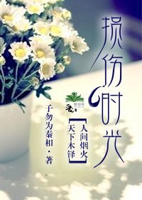 《损伤时光》