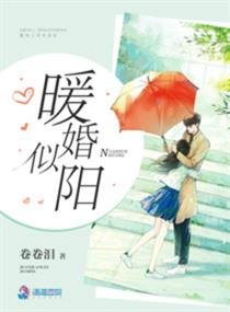 《暖婚似阳》
