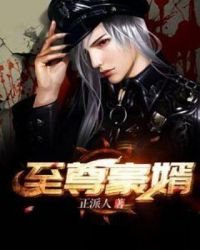 《至尊豪婿》