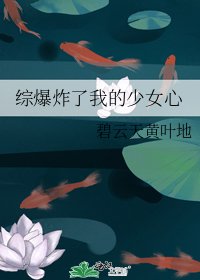 《综爆炸了我的少女心》