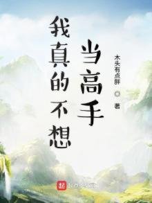 《我真的不想當高手》