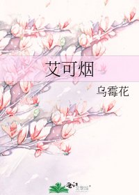 《艾可煙》