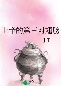 《上帝的第三對翅膀》
