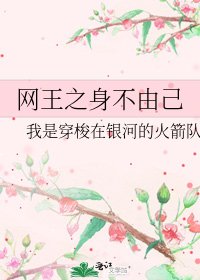 《網王之身不由己》